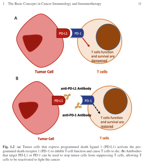 Figure 1.2 Immunotherapy